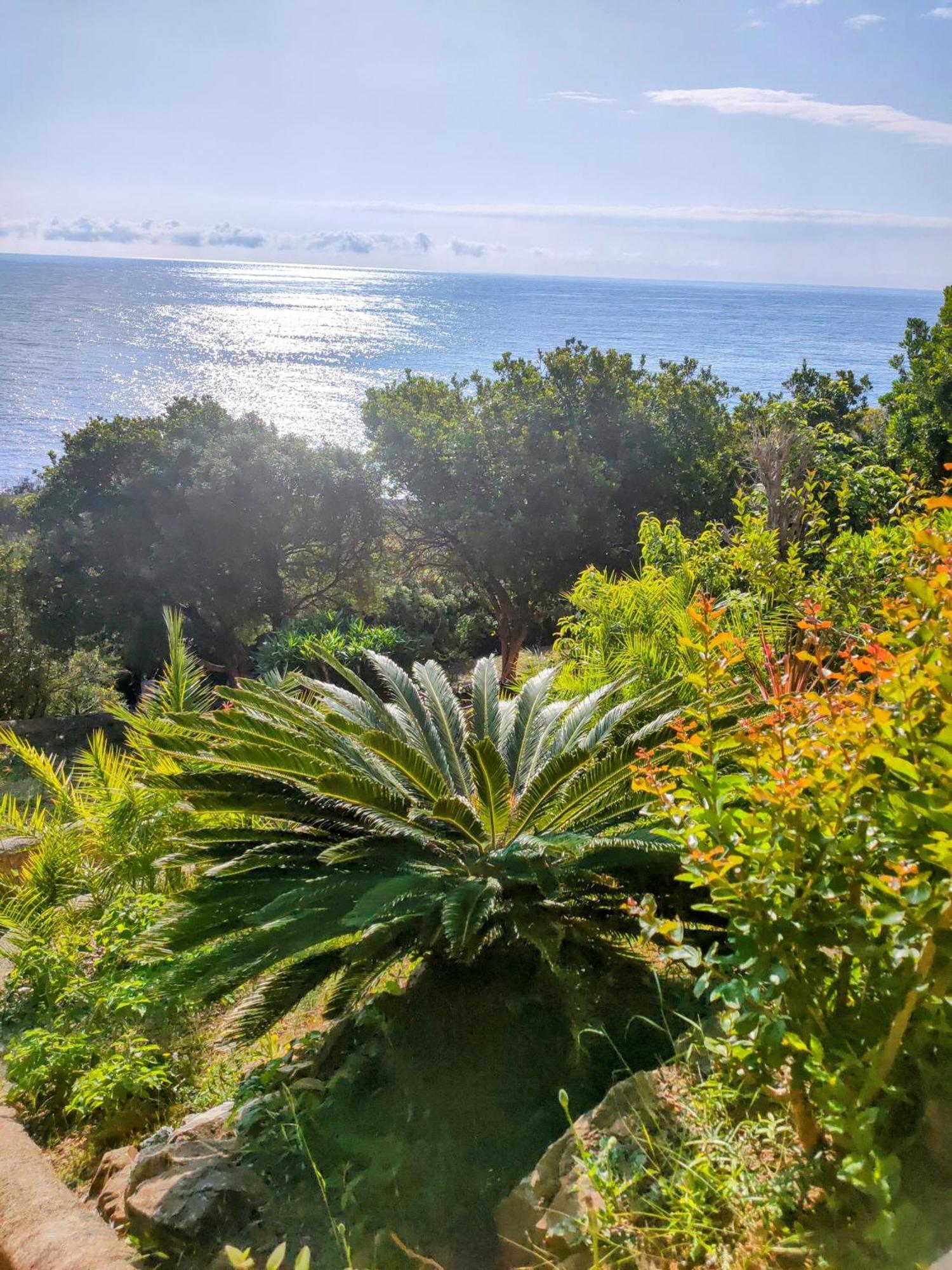 Studio Vue Sur Mer Conca Εξωτερικό φωτογραφία