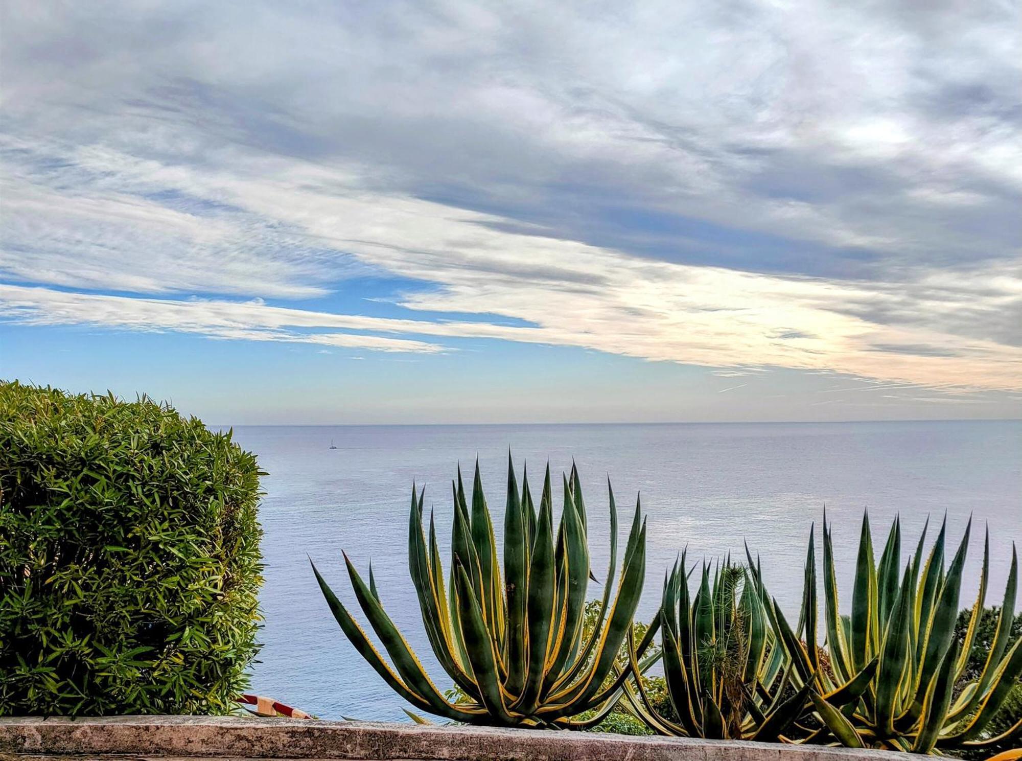 Studio Vue Sur Mer Conca Εξωτερικό φωτογραφία