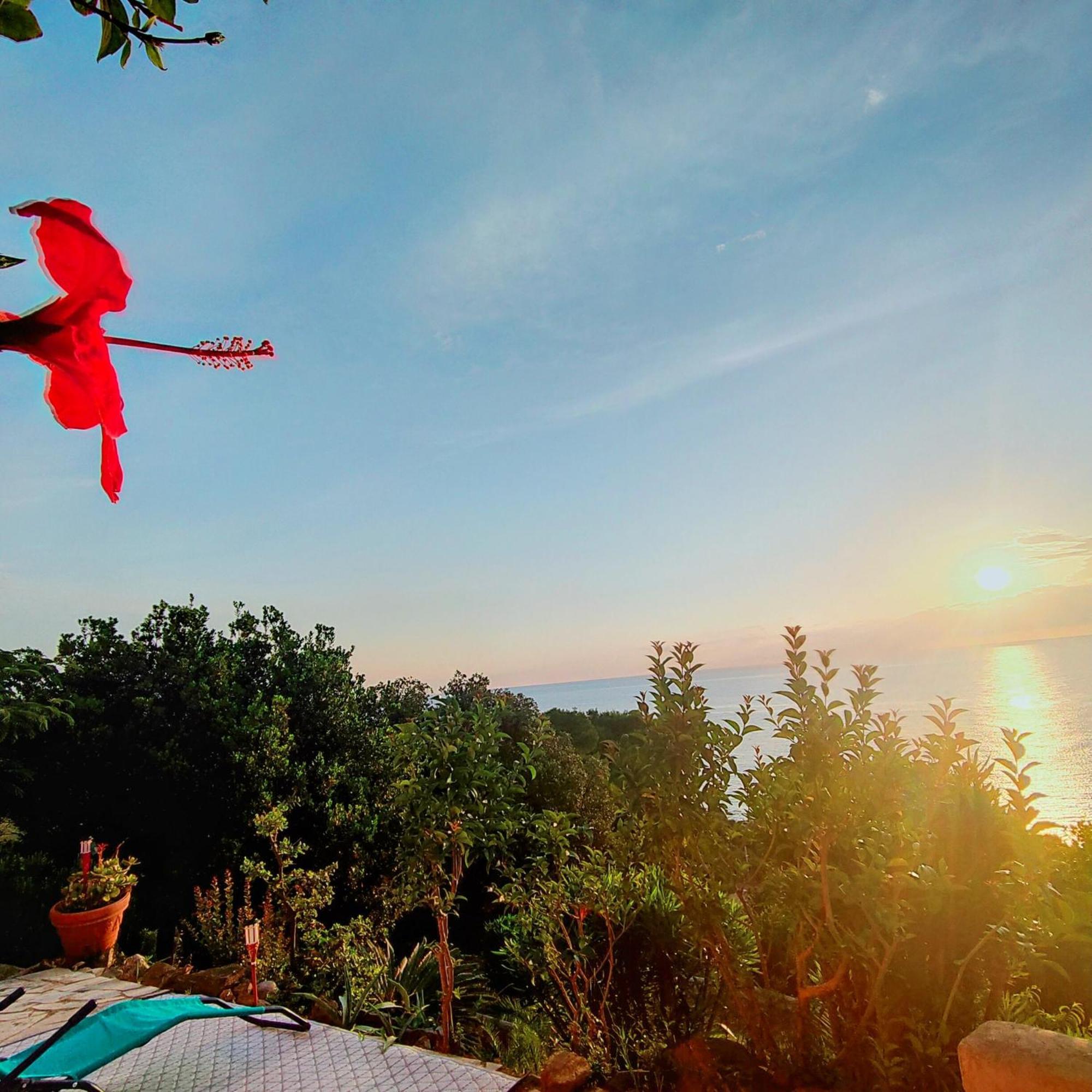 Studio Vue Sur Mer Conca Εξωτερικό φωτογραφία