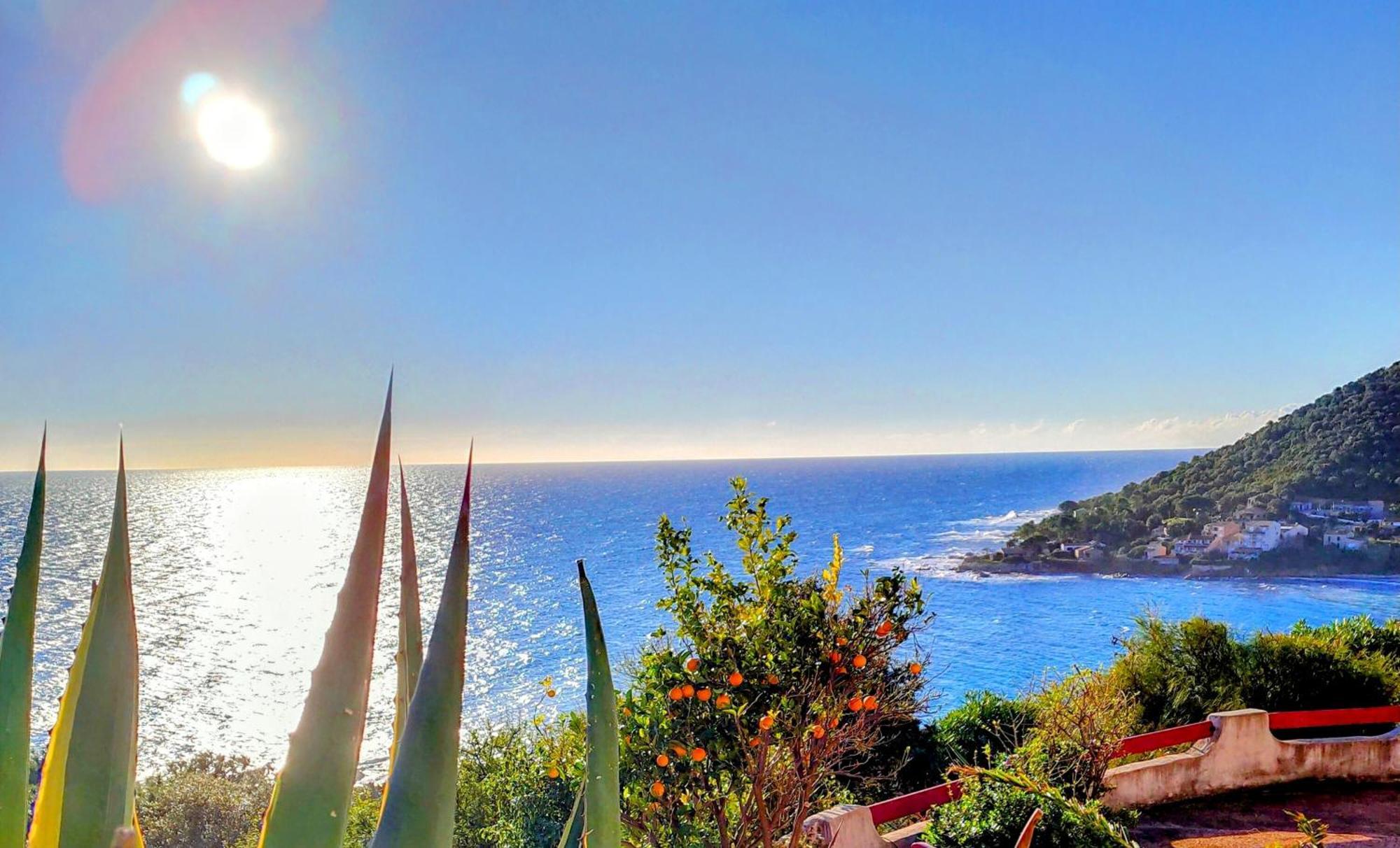 Studio Vue Sur Mer Conca Εξωτερικό φωτογραφία