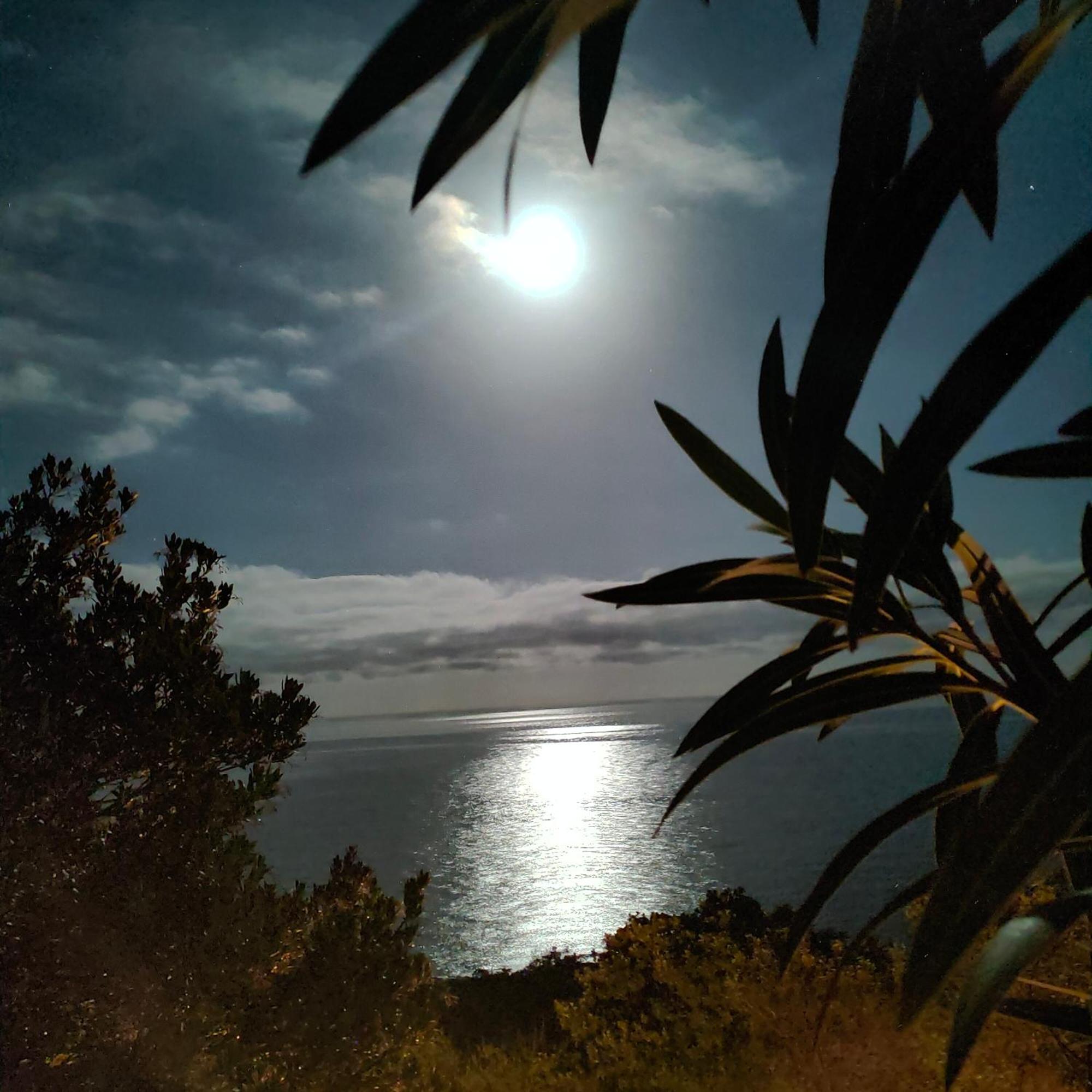 Studio Vue Sur Mer Conca Εξωτερικό φωτογραφία