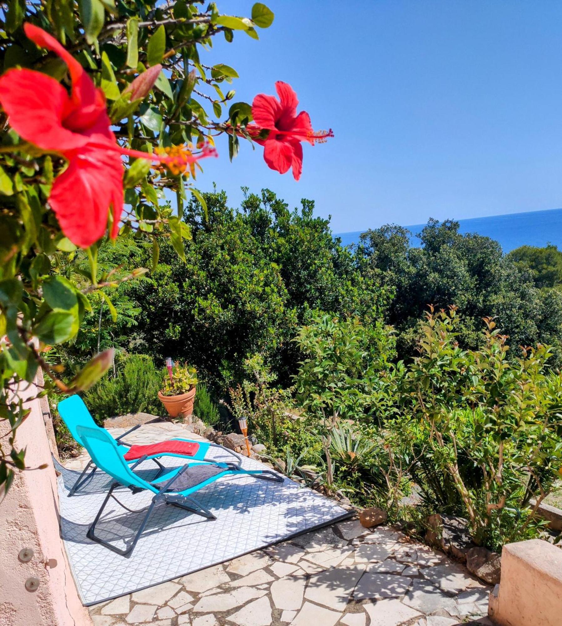 Studio Vue Sur Mer Conca Εξωτερικό φωτογραφία