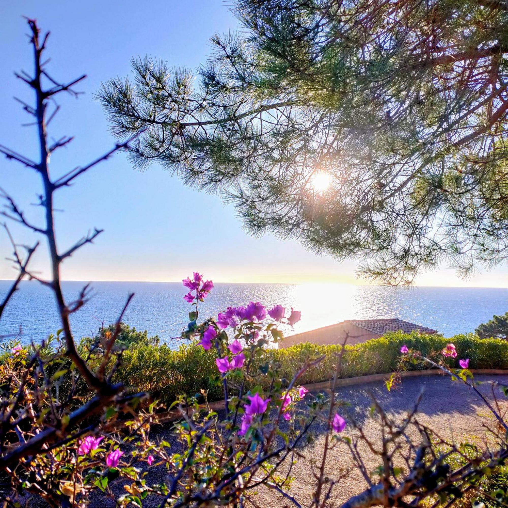 Studio Vue Sur Mer Conca Εξωτερικό φωτογραφία