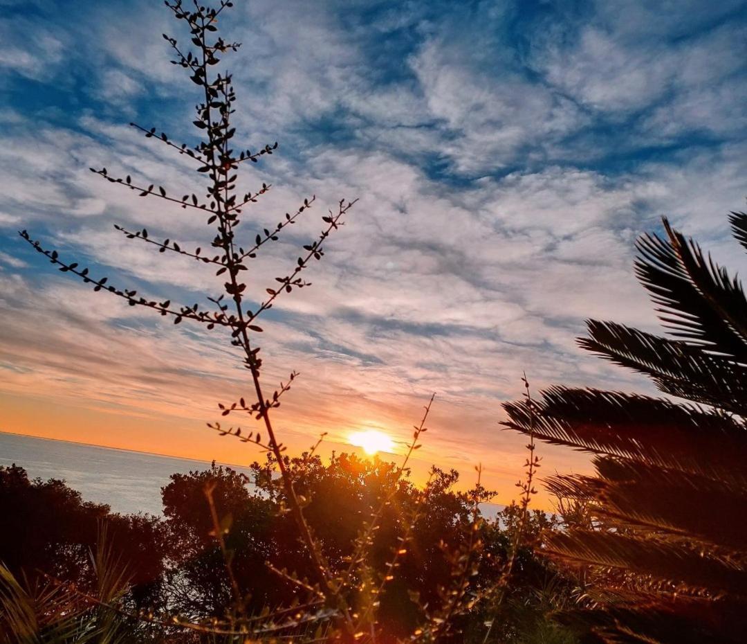 Studio Vue Sur Mer Conca Εξωτερικό φωτογραφία